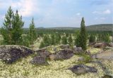 Бараки Кульйок, image of landscape/habitat.
