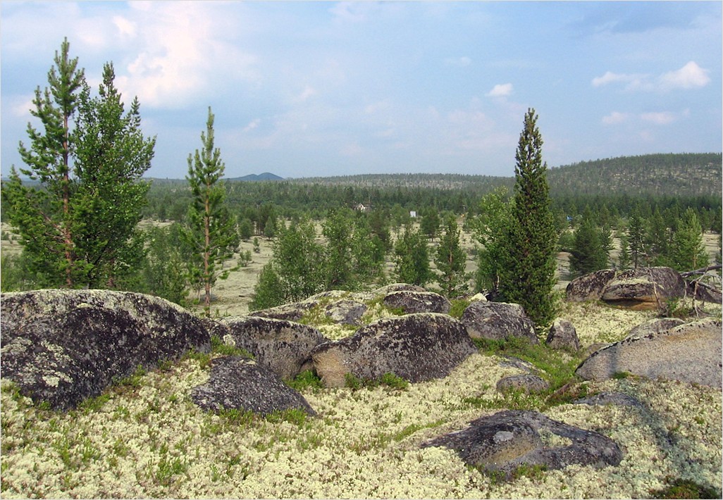 Бараки Кульйок, image of landscape/habitat.