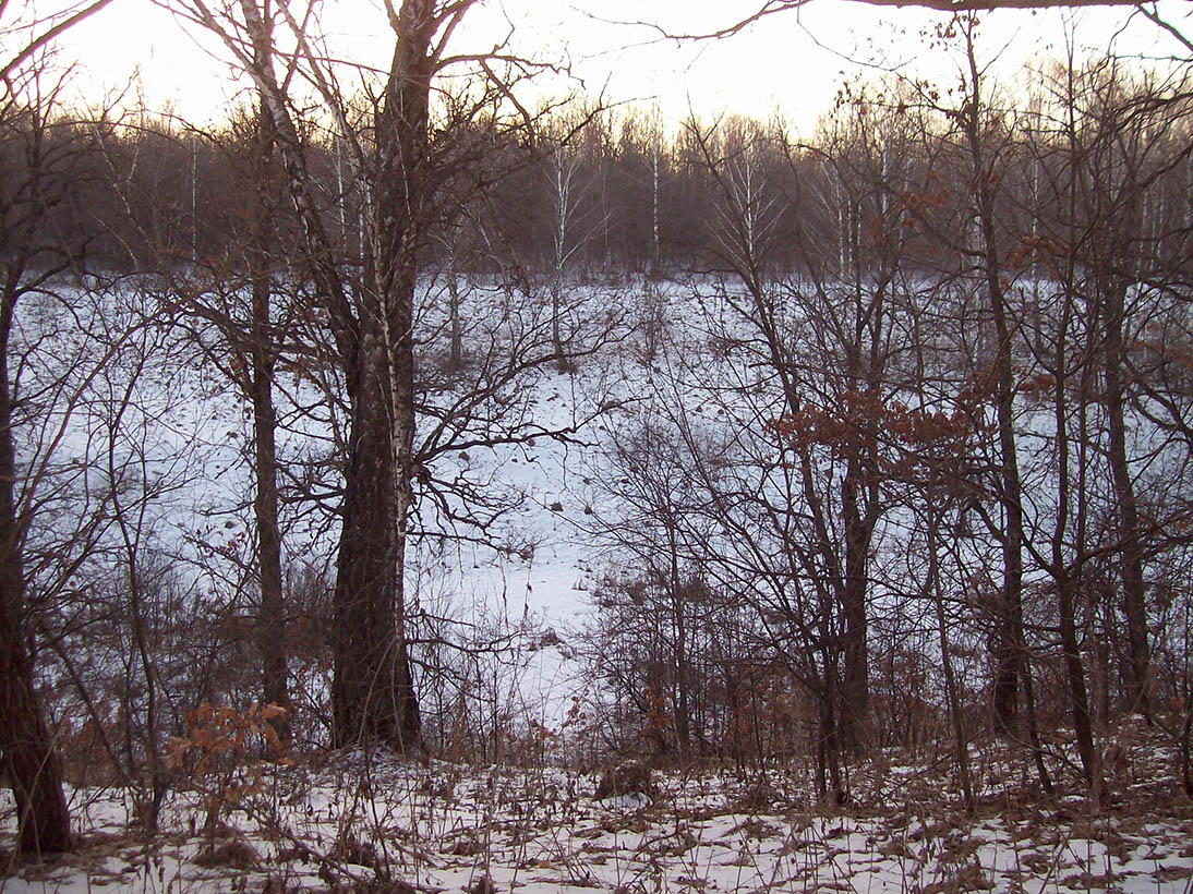 Нележ, image of landscape/habitat.