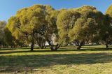 Image of landscape