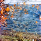 Image of landscape
