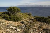 Image of landscape