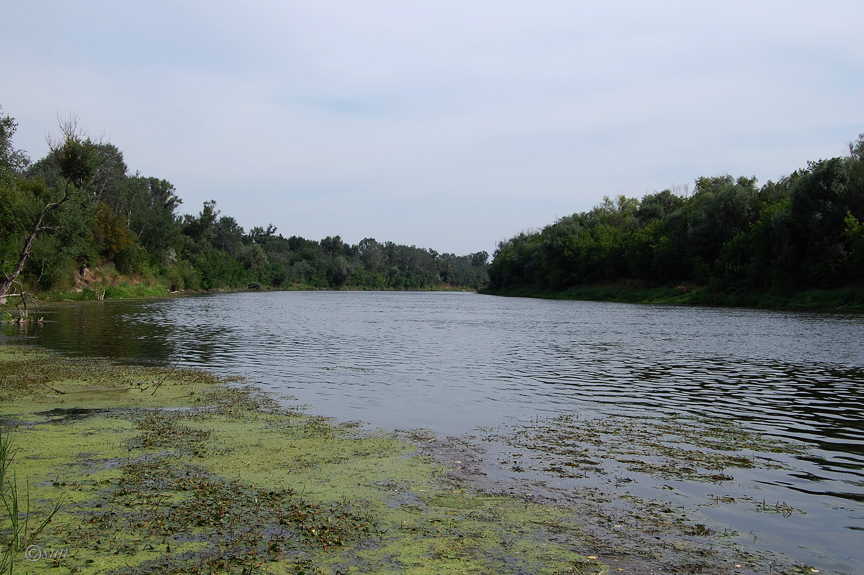 Станица Луганская и окрестности, image of landscape/habitat.