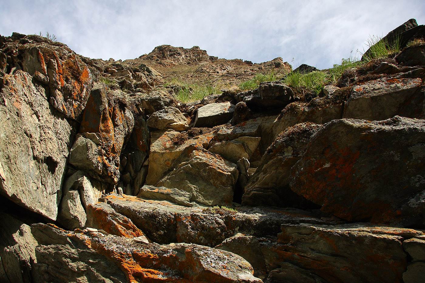 Окрестности Сармы, image of landscape/habitat.