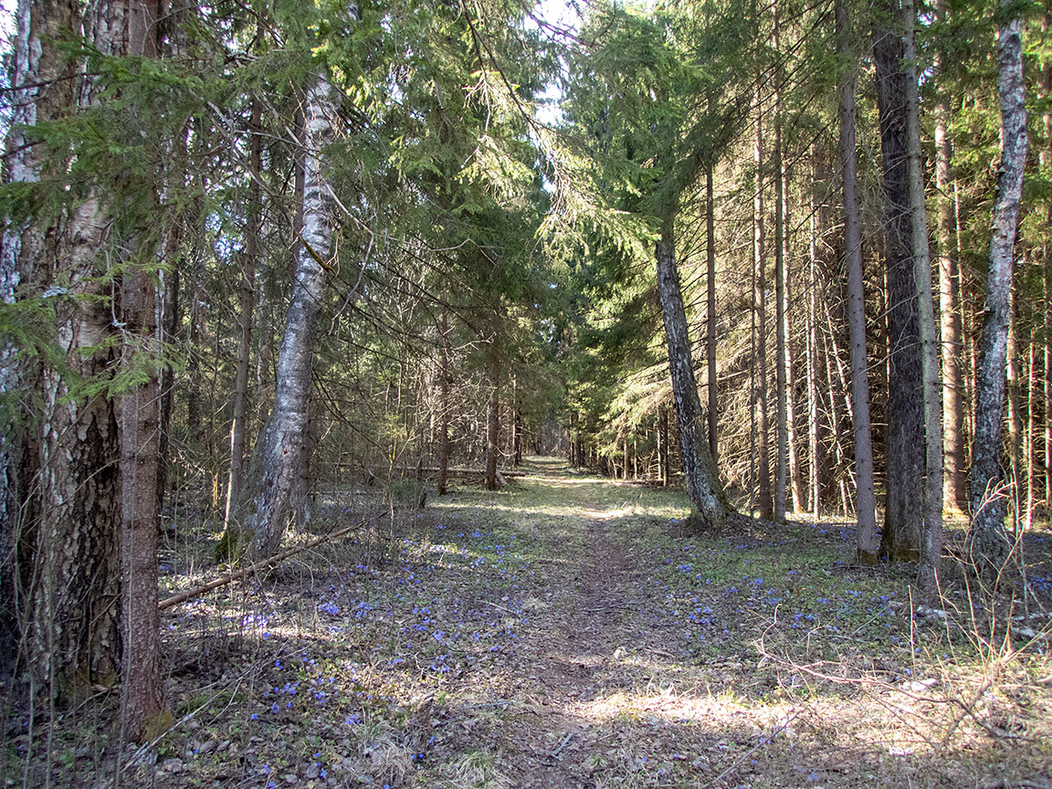 Дубна, image of landscape/habitat.