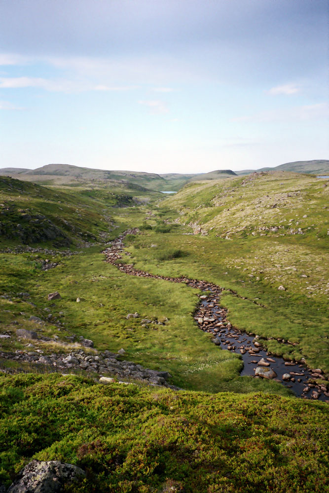 Порчниха, image of landscape/habitat.