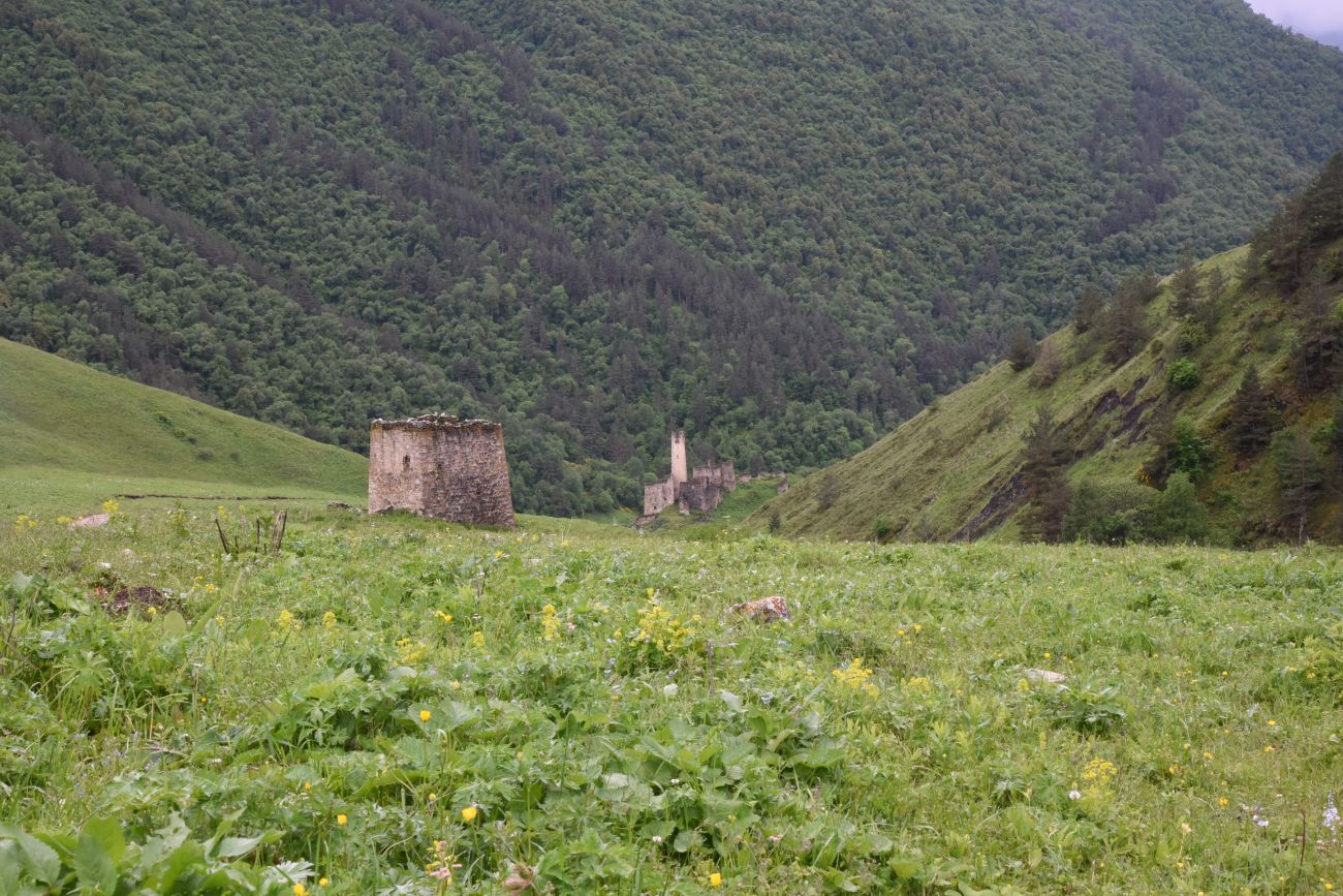 Окрестности урочища Оасег, image of landscape/habitat.