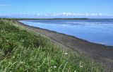 Озеро Буссе, image of landscape/habitat.