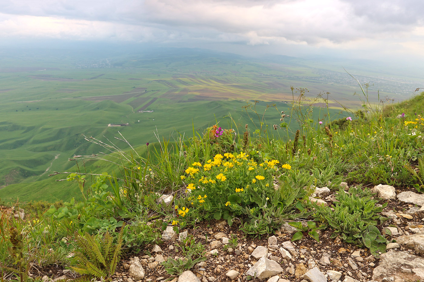 Джангур, image of landscape/habitat.