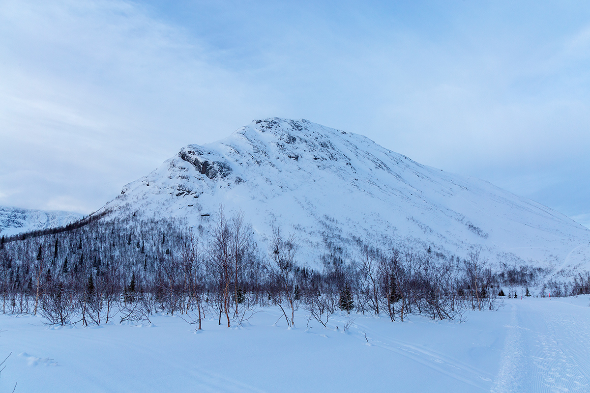 Кукисвумчорр, image of landscape/habitat.