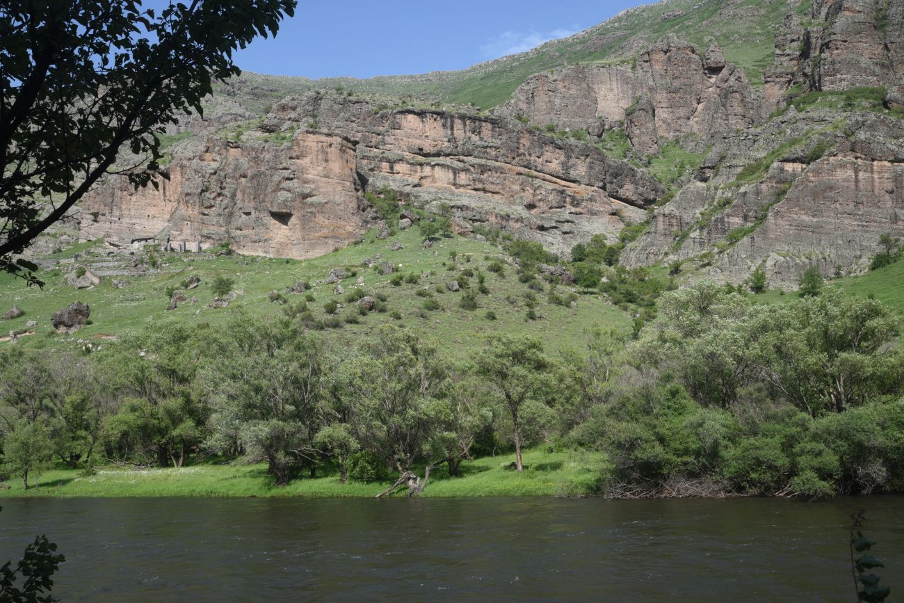 Урочище Тавкветула, image of landscape/habitat.