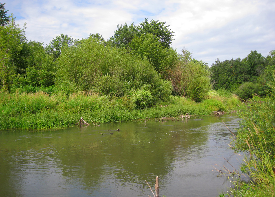 Долина реки Ик, image of landscape/habitat.