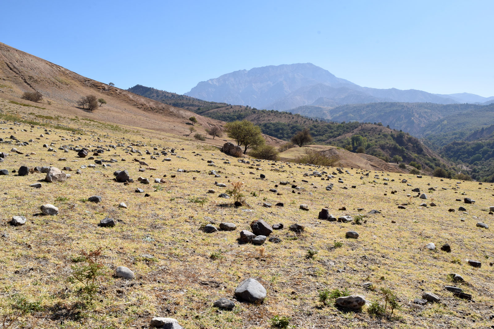 Гора Кунгирбука, image of landscape/habitat.