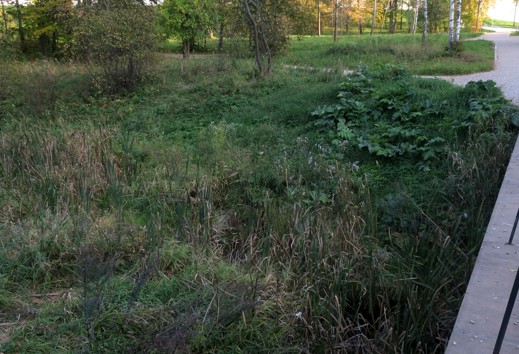 Истра и окрестности, image of landscape/habitat.