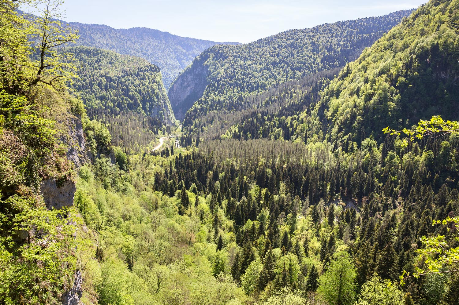 Юпшарский каньон, image of landscape/habitat.