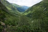 Image of landscape