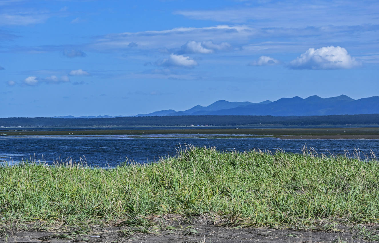 Озеро Буссе, image of landscape/habitat.