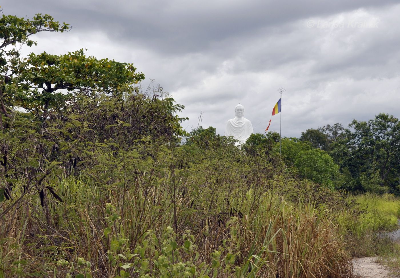 Пагода Лонгшон, image of landscape/habitat.