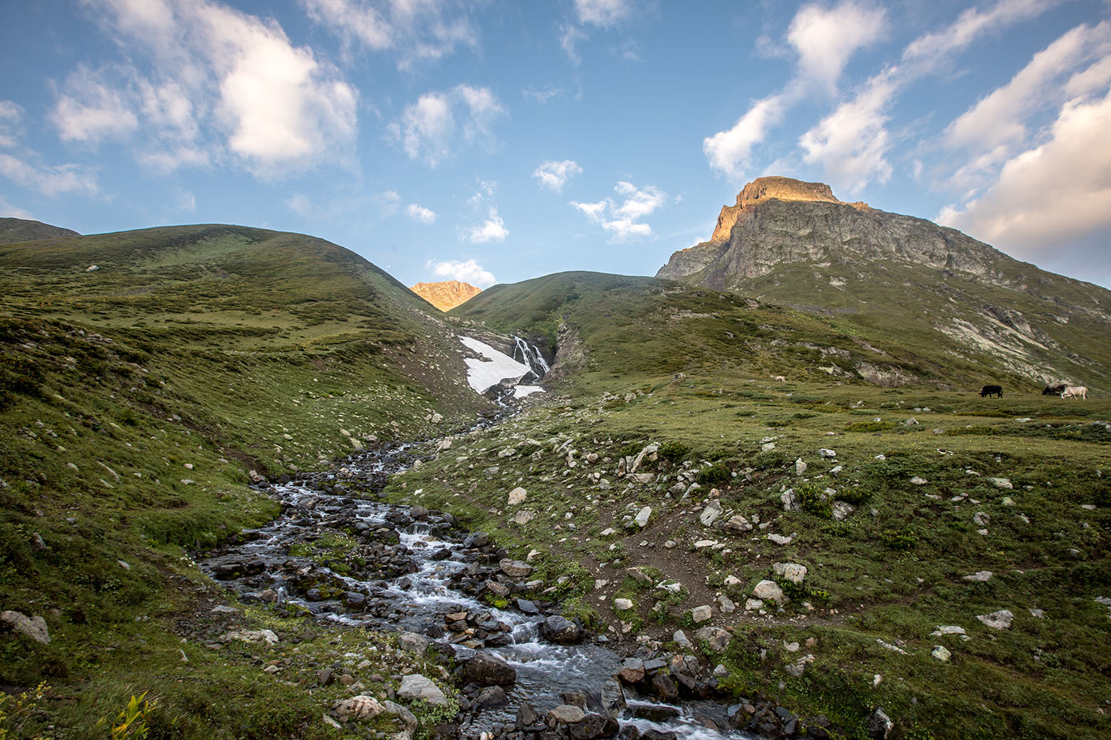 Озеро Чилик, image of landscape/habitat.