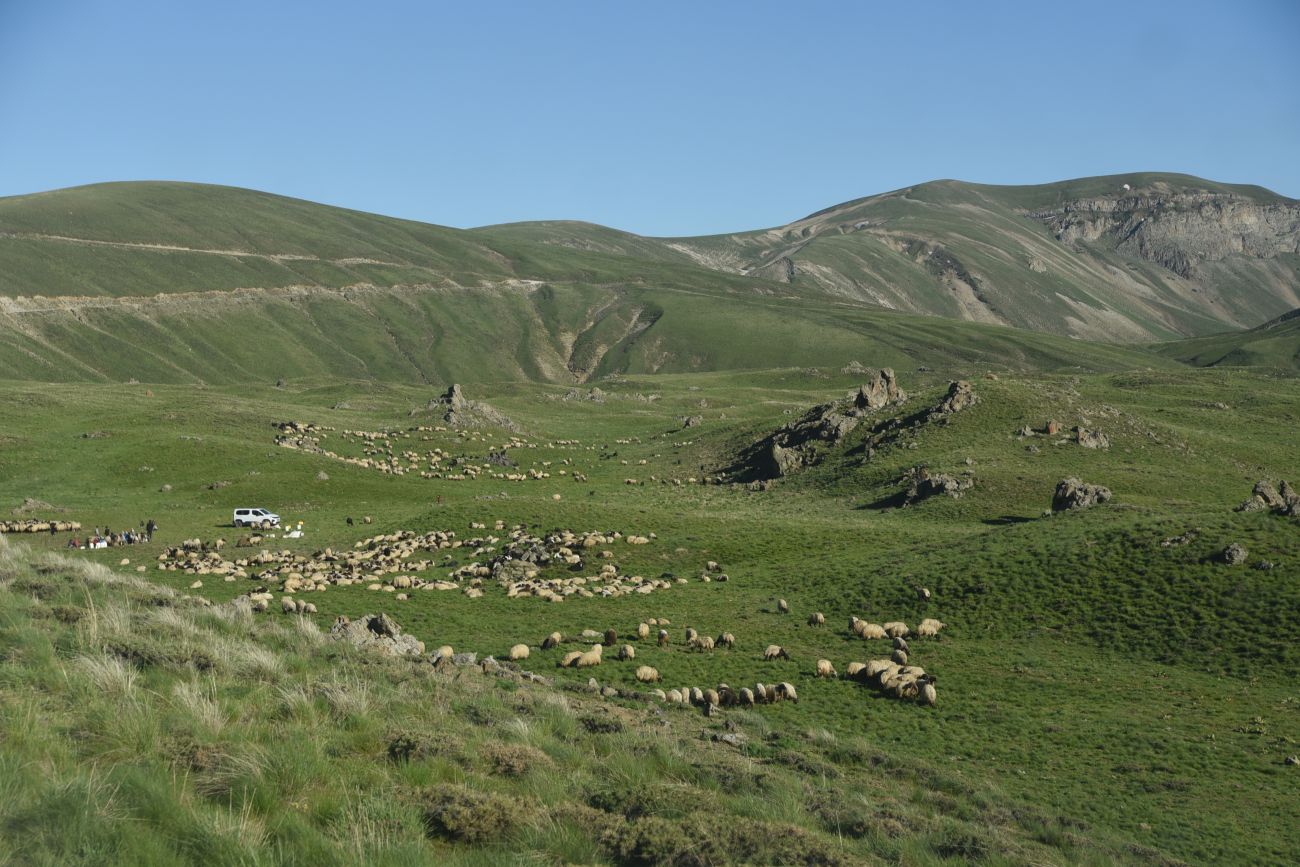 Кальдера Немрут, image of landscape/habitat.