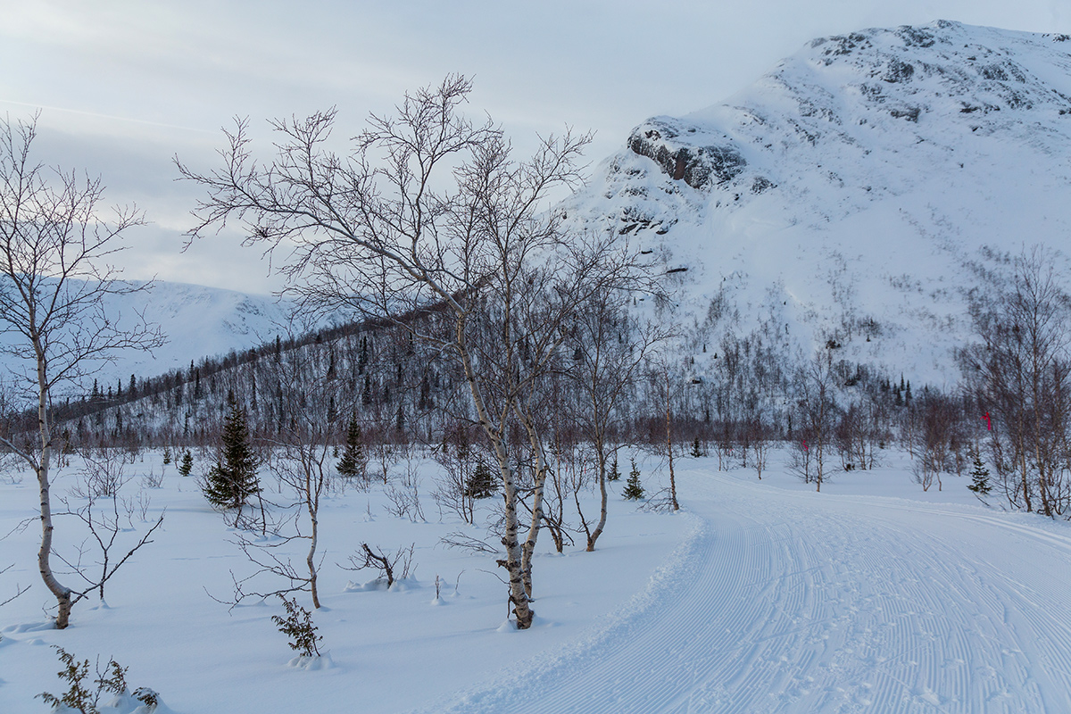 Кукисвумчорр, image of landscape/habitat.