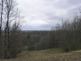 Image of landscape