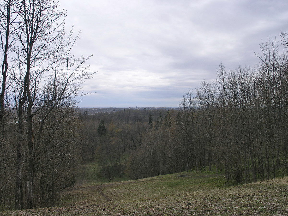 Дудергофские высоты, изображение ландшафта.