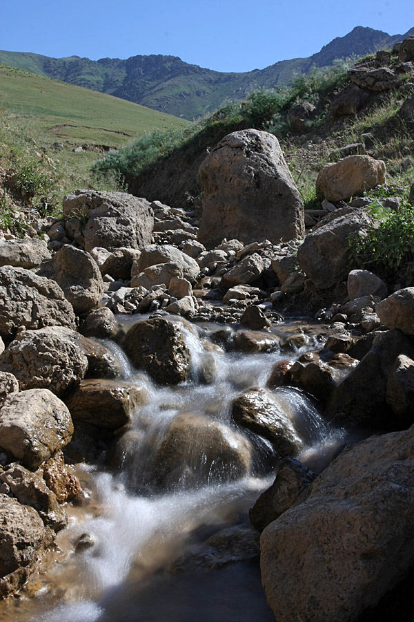 Горы Алатау, image of landscape/habitat.