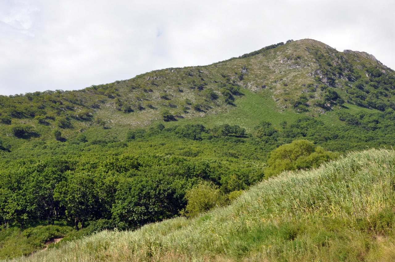 Находка и окрестности, image of landscape/habitat.