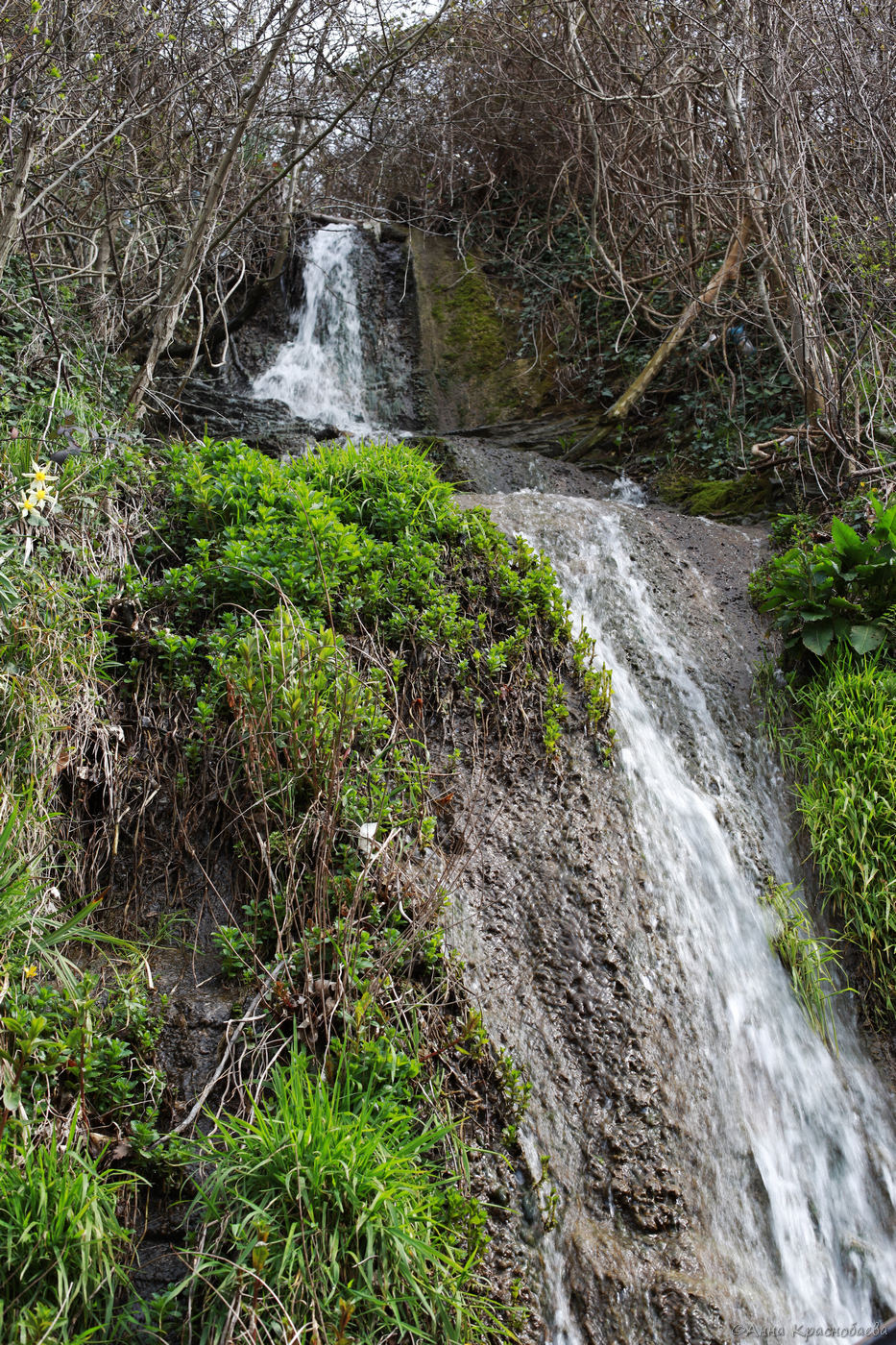 Долина ручья Красный Водопад, image of landscape/habitat.