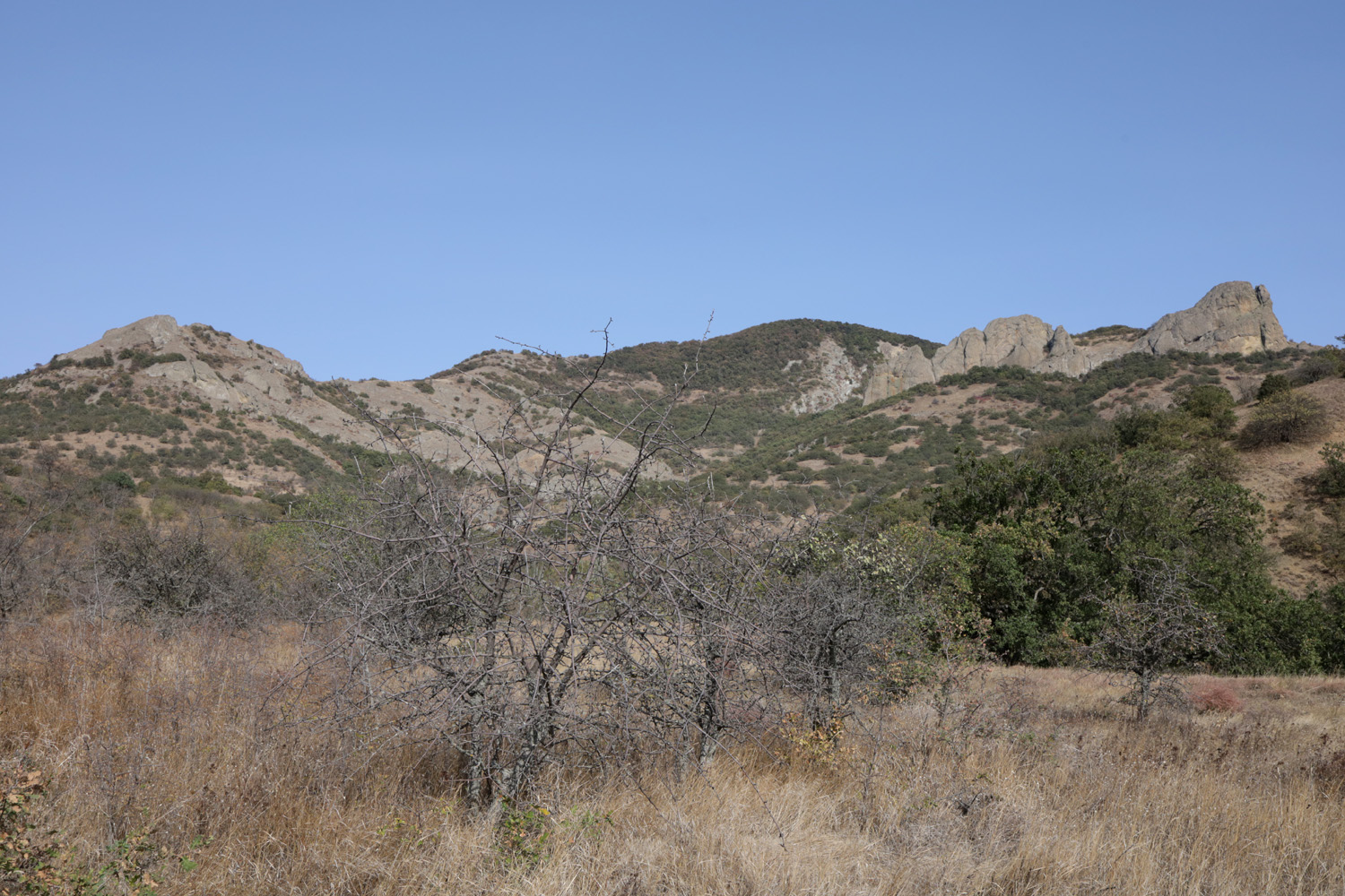 Карадаг, image of landscape/habitat.