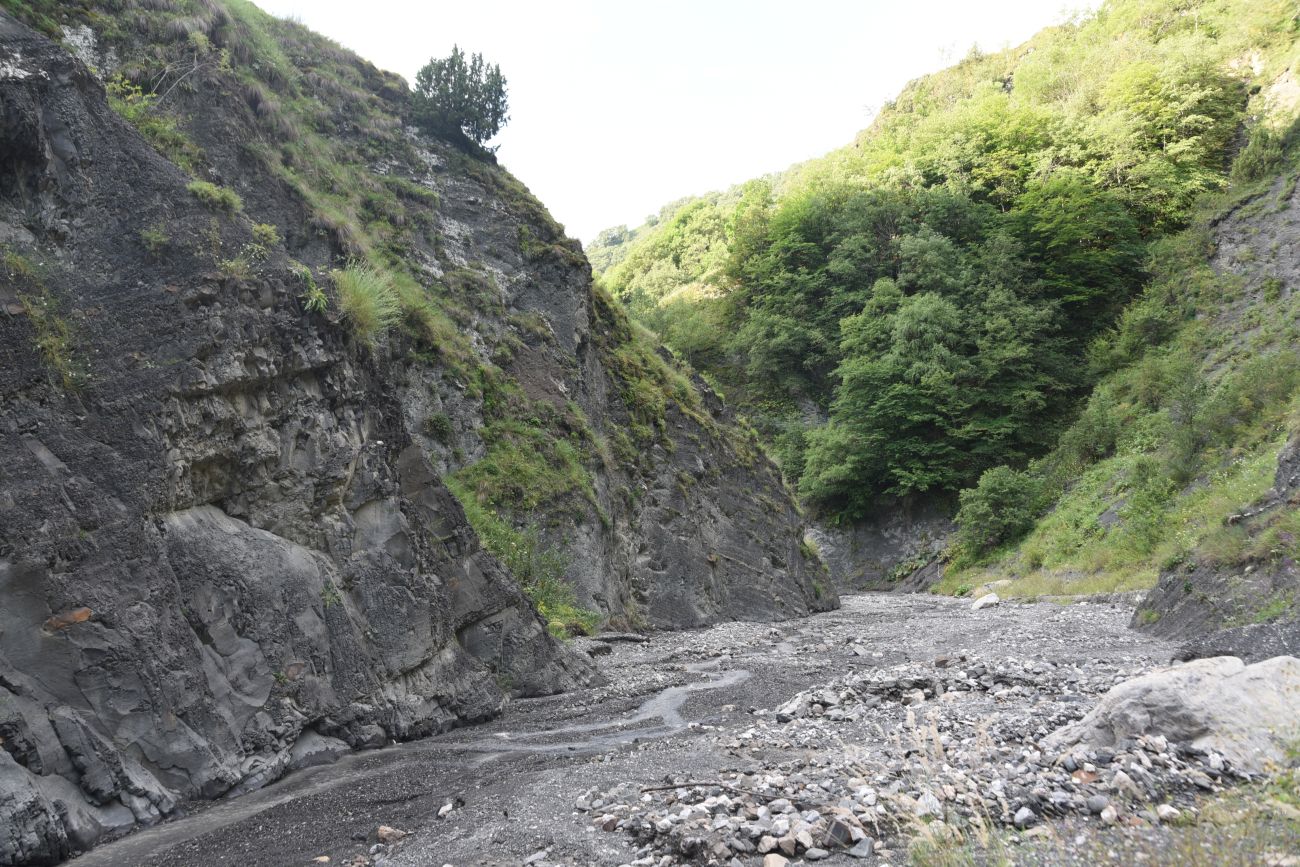 Ещё один левый приток Цесиахк, image of landscape/habitat.