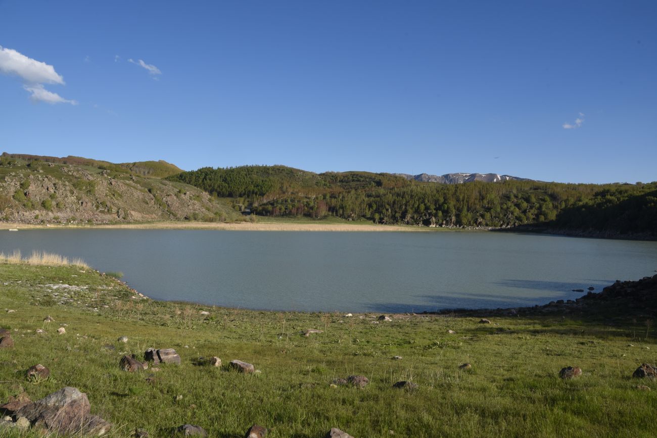 Окрестности озера Ылы, image of landscape/habitat.