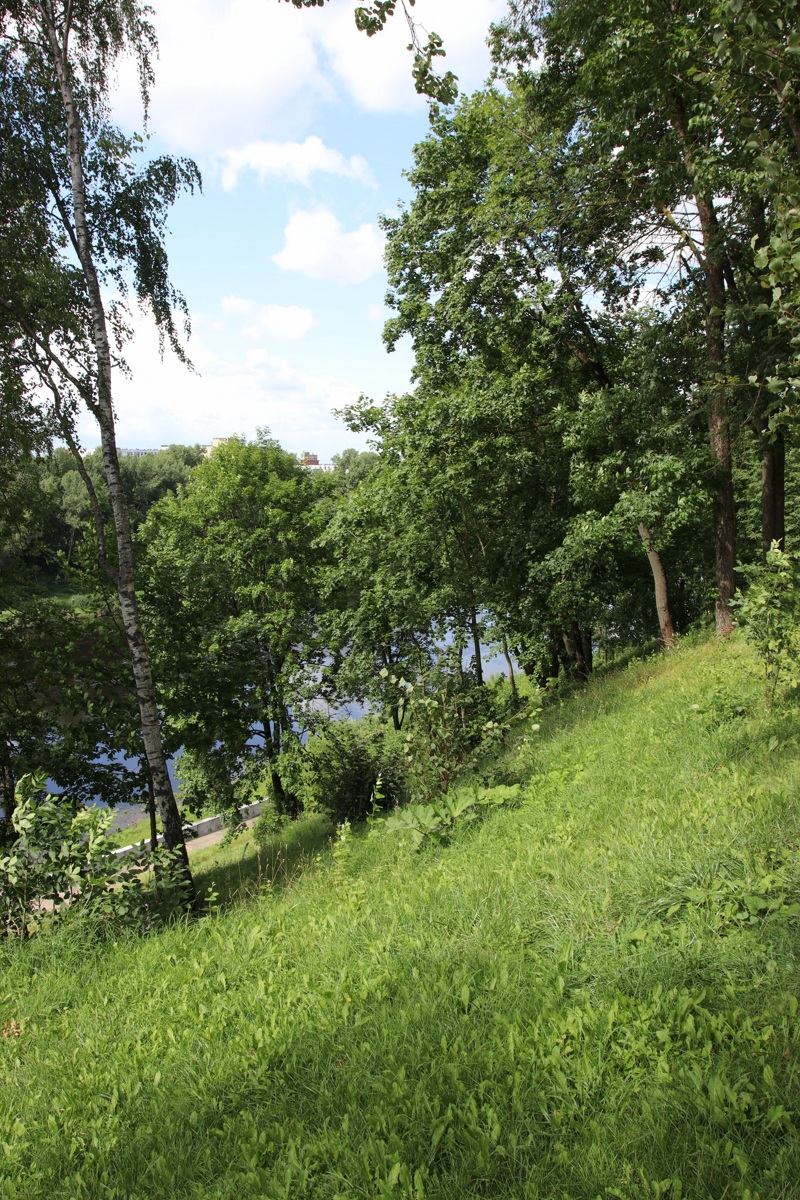 Центр Витебска, image of landscape/habitat.