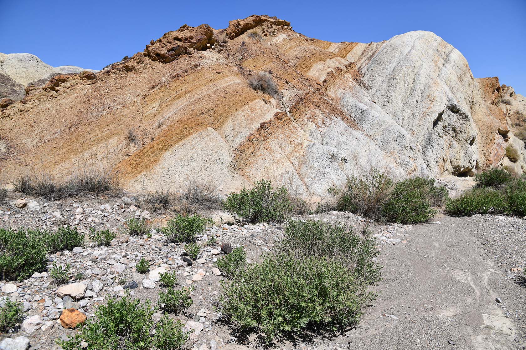 Мадыген, image of landscape/habitat.
