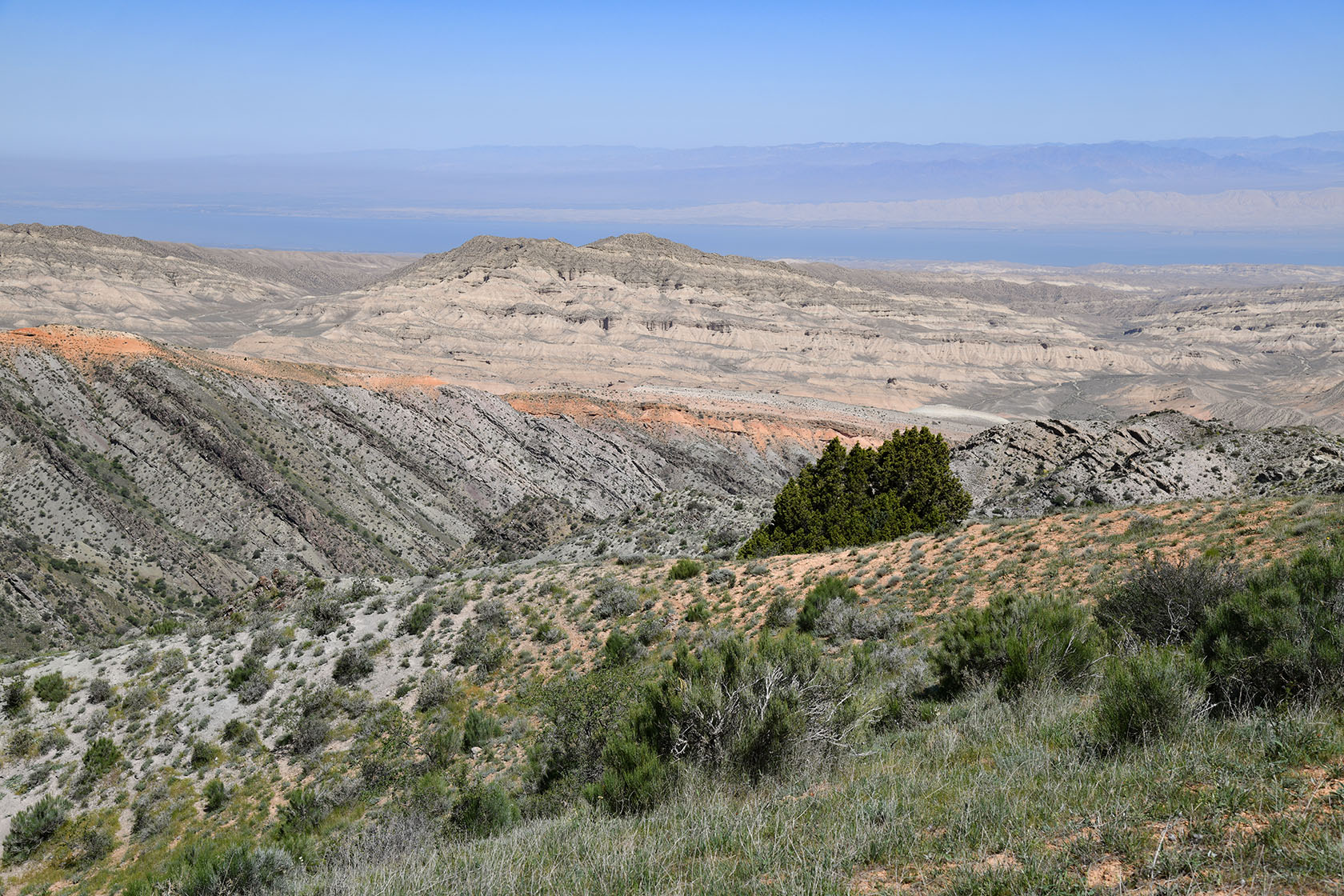 Гальчабаши, image of landscape/habitat.