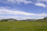 Landscape image