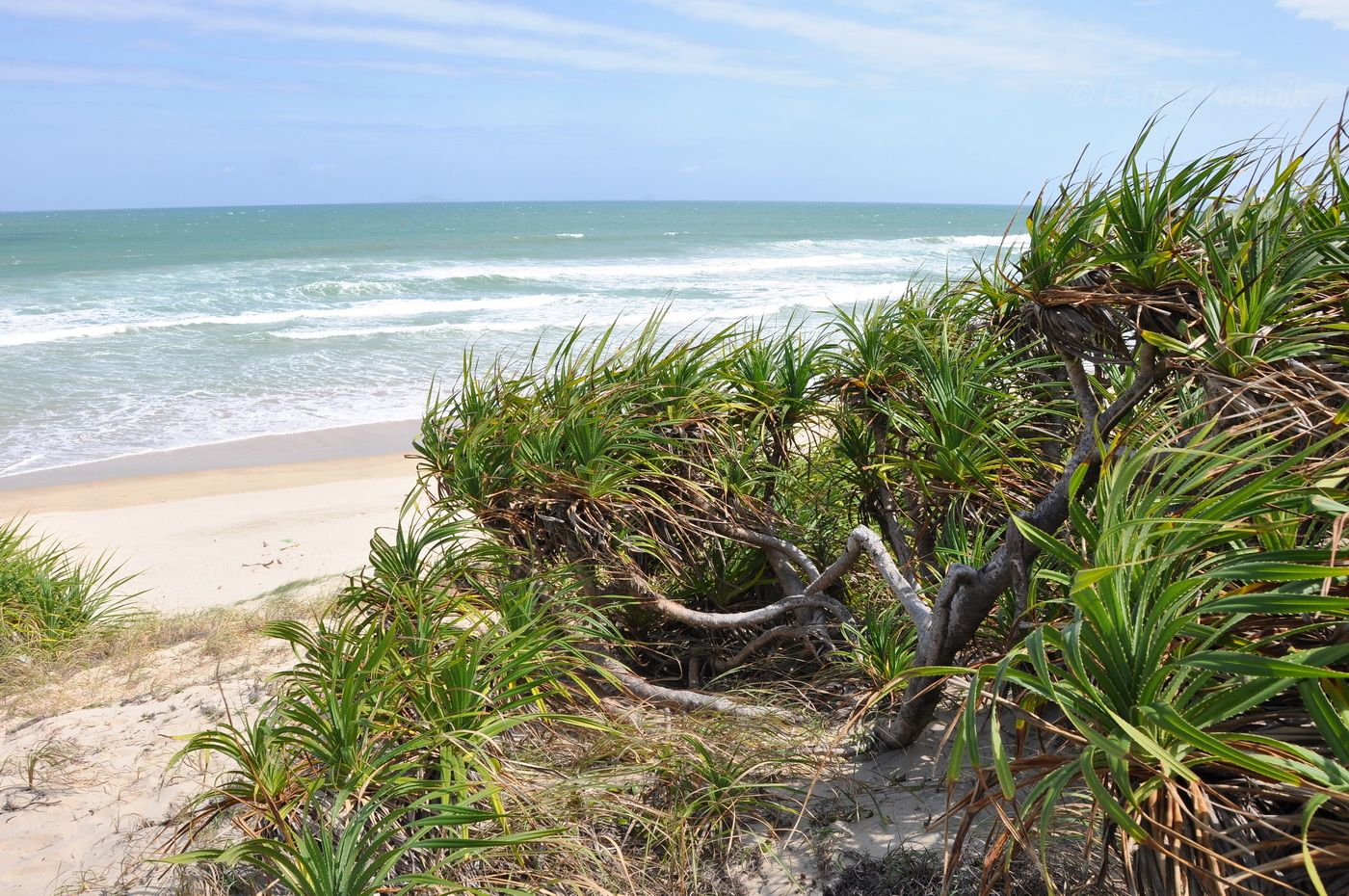 Окрестности пляжа Бай Дай, изображение ландшафта.