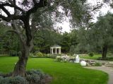 Image of landscape