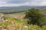 Image of landscape