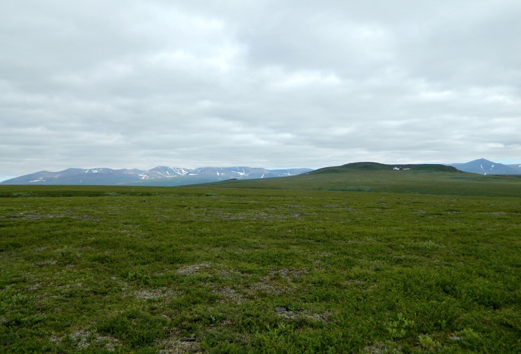 Правый Кечпель, image of landscape/habitat.