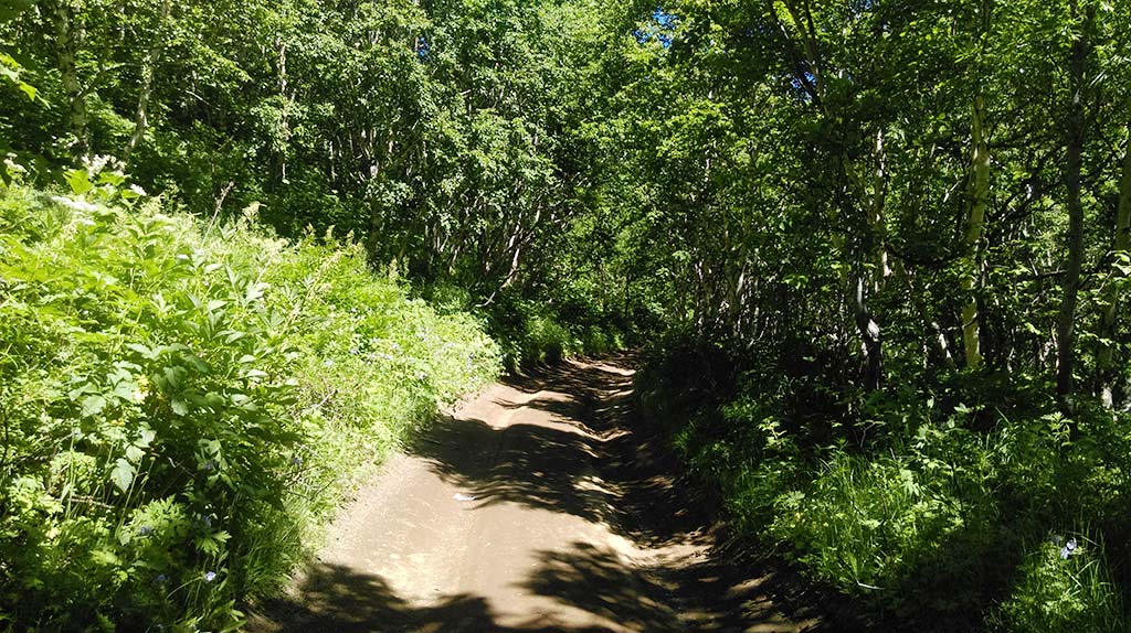 Гора Раковая, image of landscape/habitat.