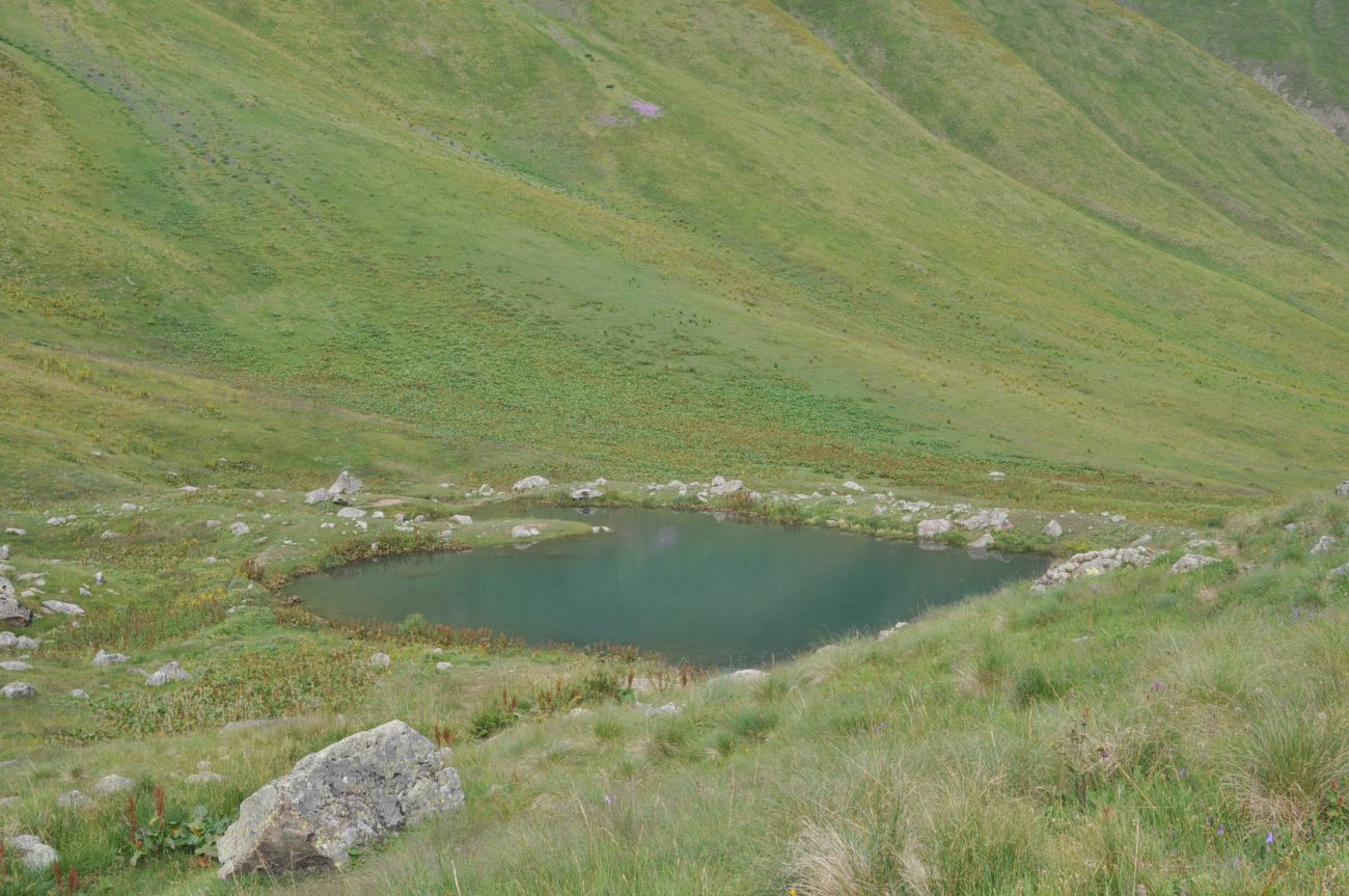 Долина ручья Чаухицхали, image of landscape/habitat.