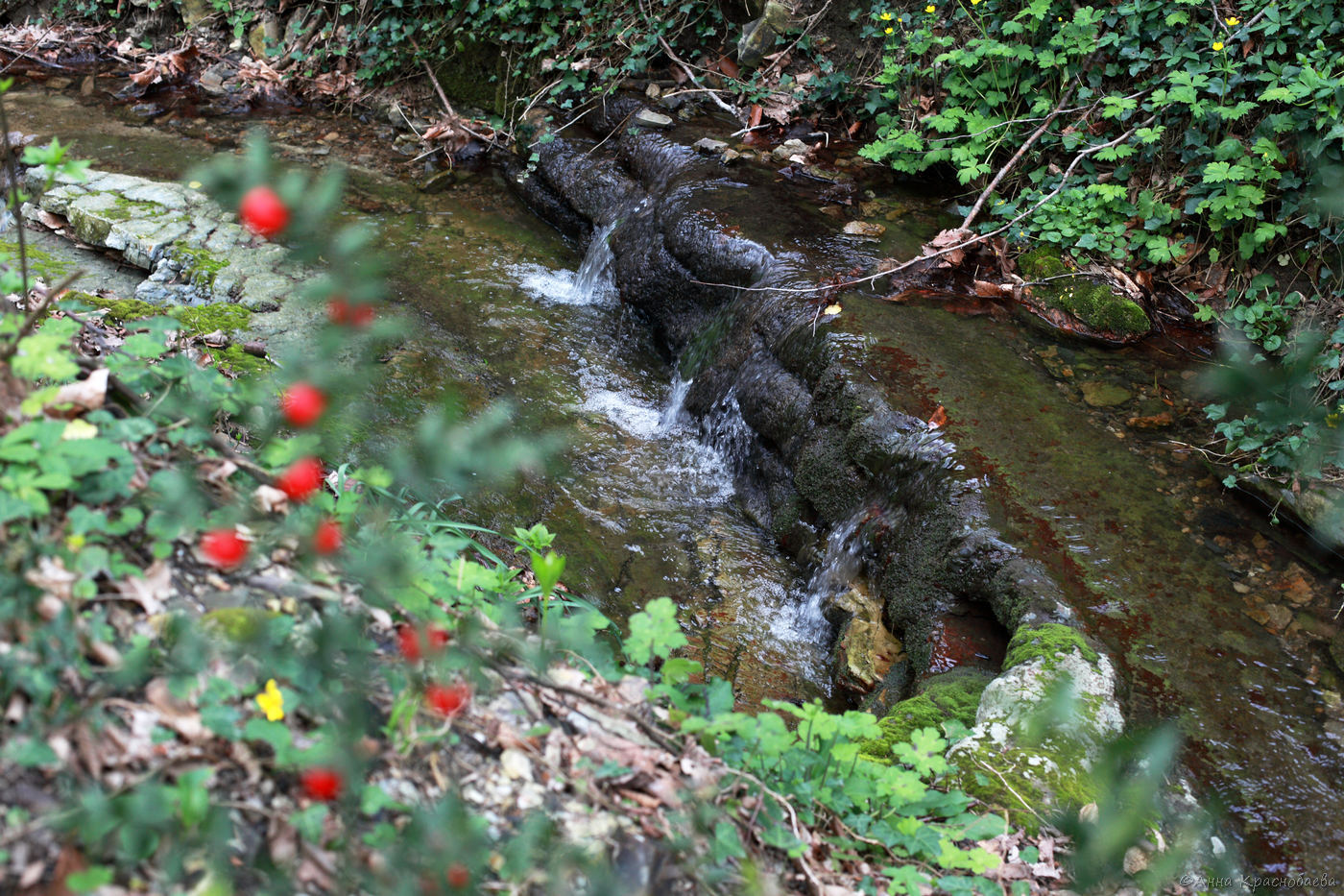 Долина ручья Красный Водопад, image of landscape/habitat.