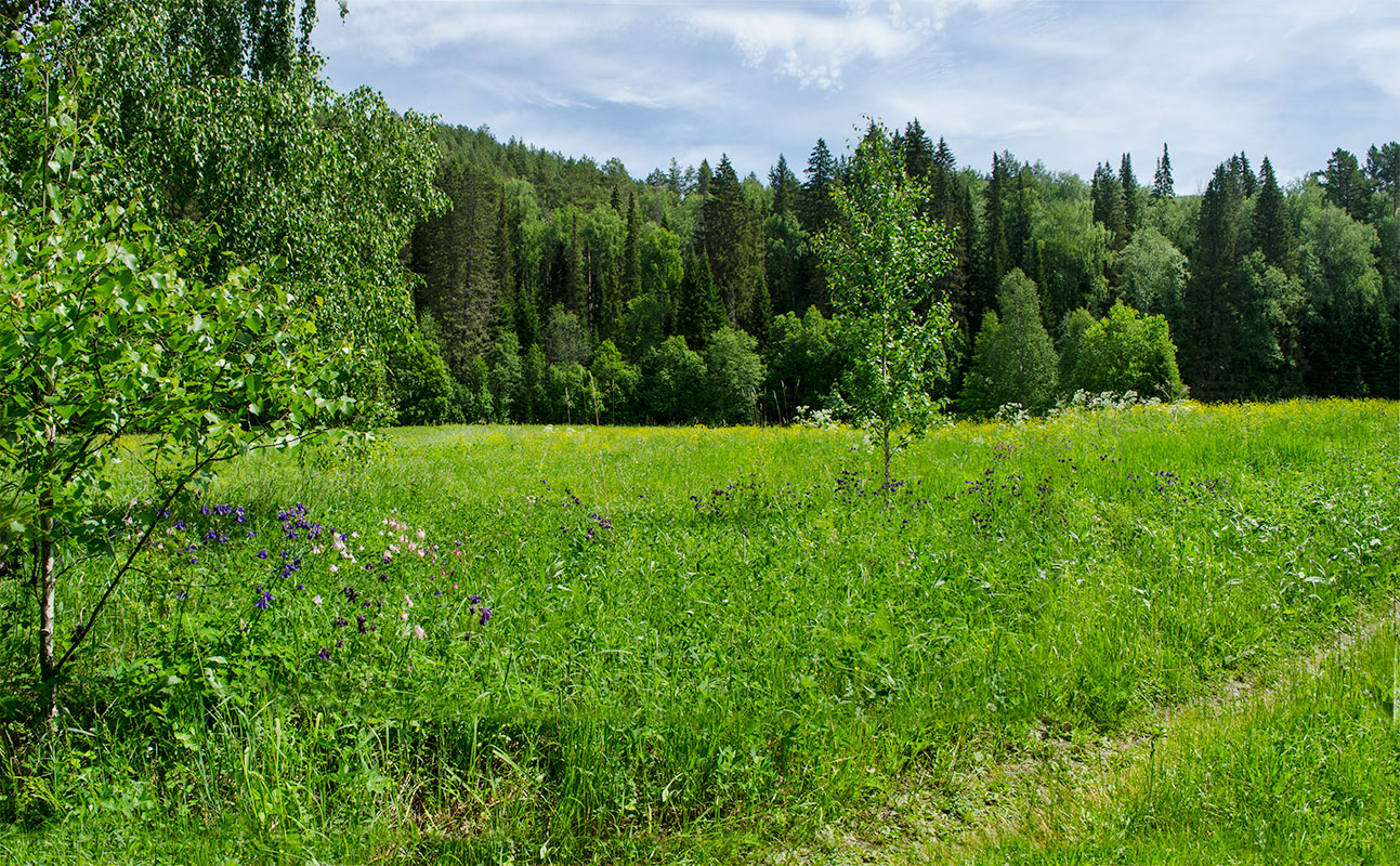 Саргая и окрестности, image of landscape/habitat.