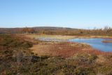 Могильный Ров, image of landscape/habitat.