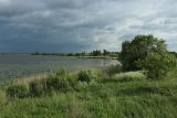 Езерище и окрестности, image of landscape/habitat.