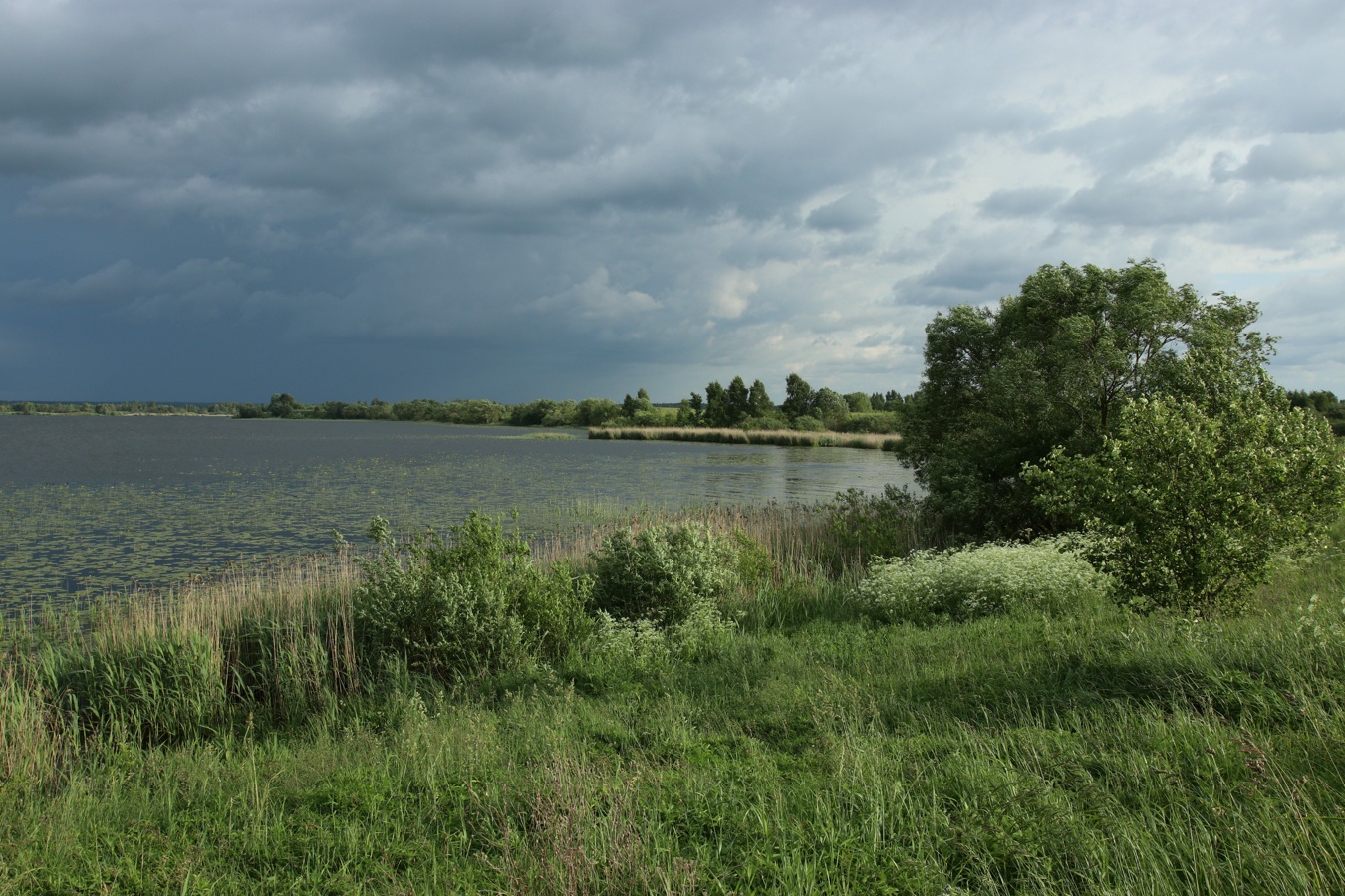 Езерище и окрестности, image of landscape/habitat.