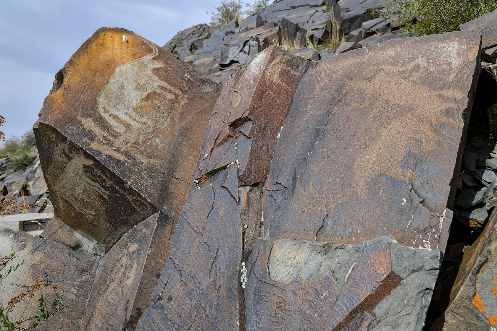 Тамгалы (Танбалы), image of landscape/habitat.