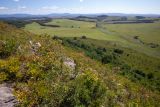 Прохоры, image of landscape/habitat.